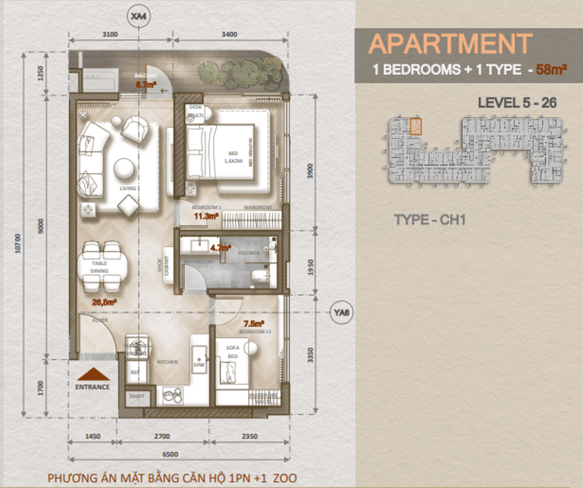 layout căn hộ 1 phòng ngủ +1